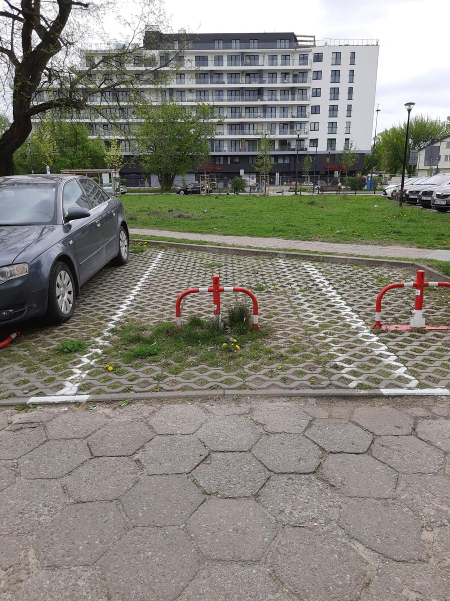 "Sady Flat" Lejlighed Warszawa Eksteriør billede
